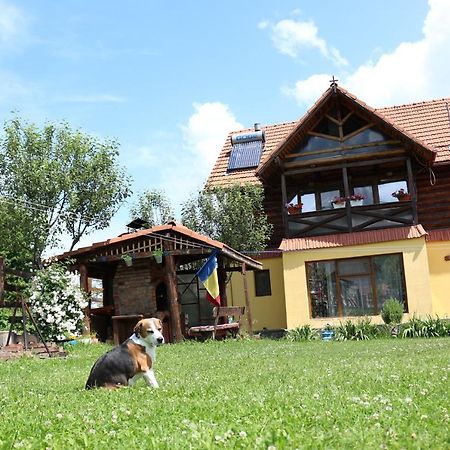 Cabana Ollie Retezat Riu Barbat エクステリア 写真
