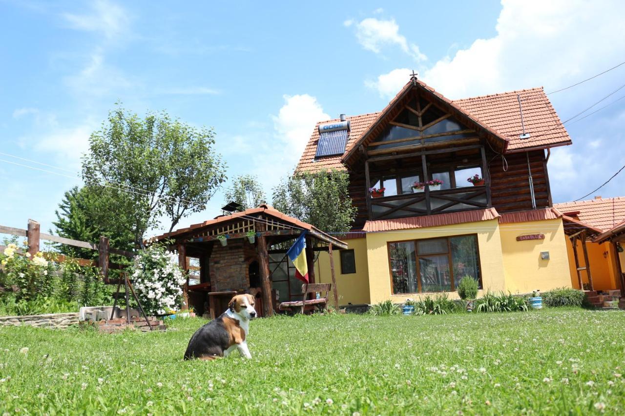 Cabana Ollie Retezat Riu Barbat エクステリア 写真